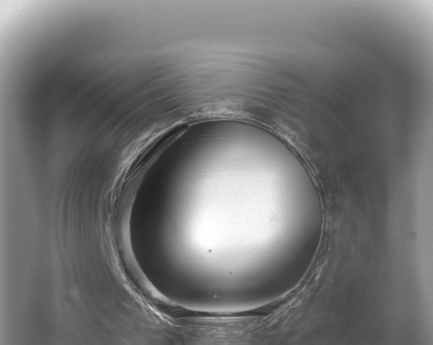 X0000067490193200604101304