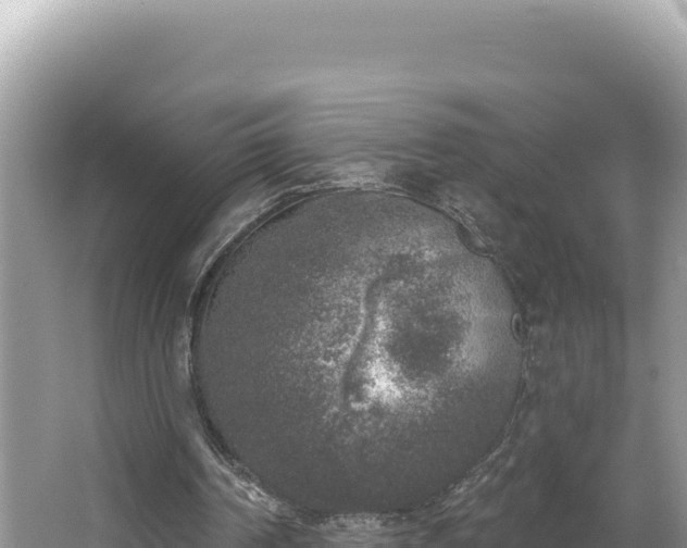 X0000067490194200604101304