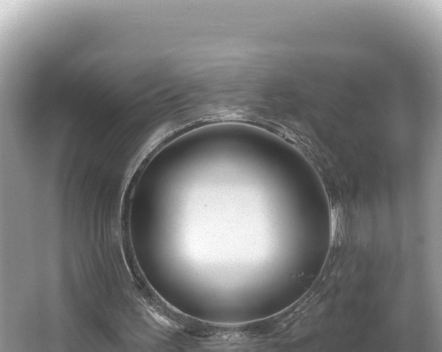 X0000067490195200604101304