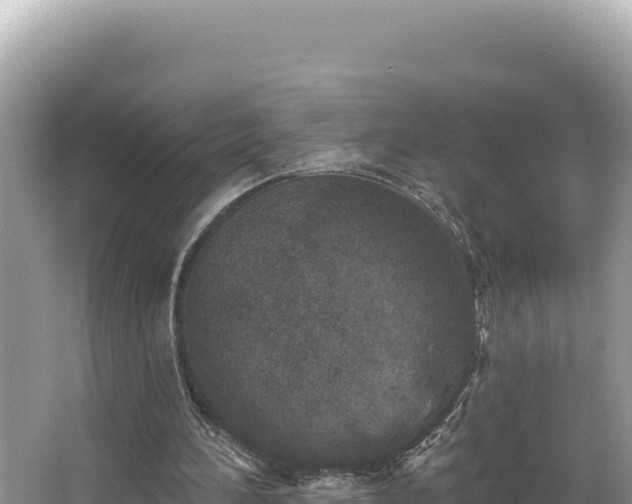 X0000067490196200604101304