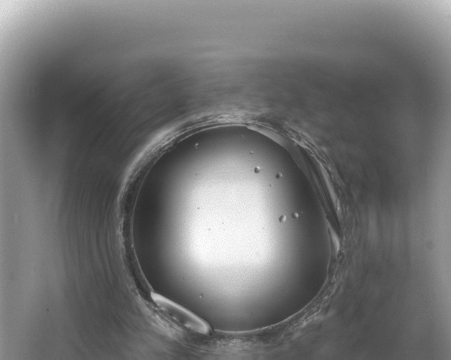 X0000067490197200604101304