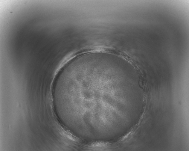 X0000067490198200604101304