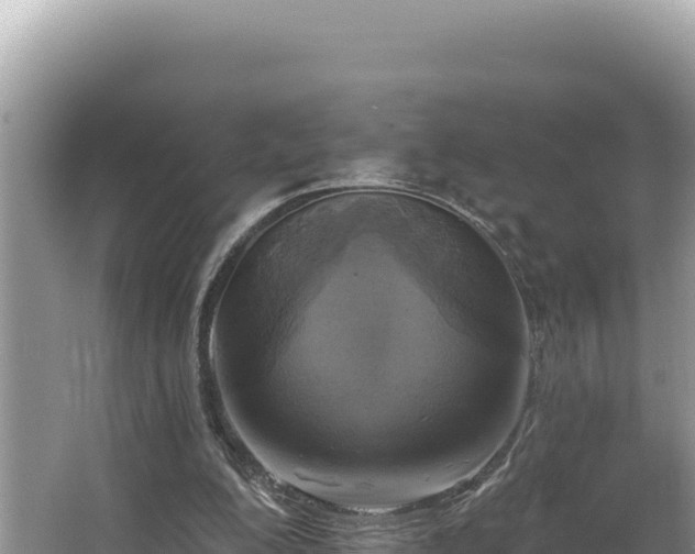 X0000067490200200604101304