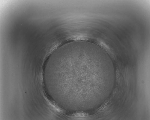 X0000067490202200604101304