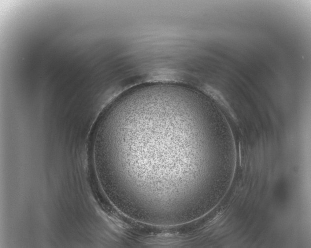 X0000067490204200604101304