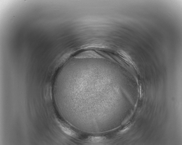 X0000067490205200604101304