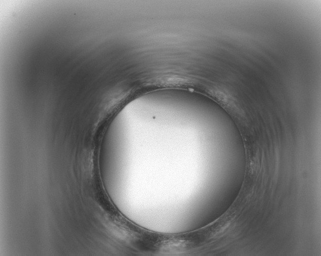 X0000067490206200604101304