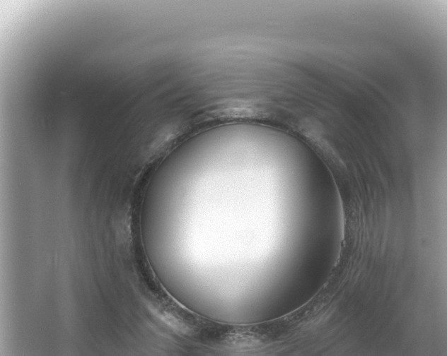 X0000067490207200604101304