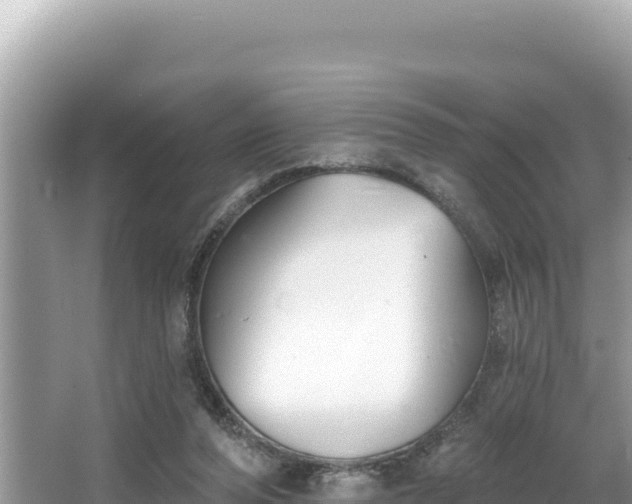 X0000067490208200604101304