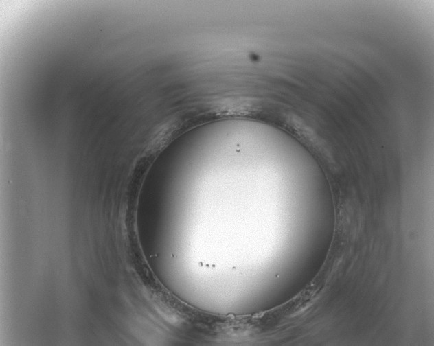 X0000067490209200604101304