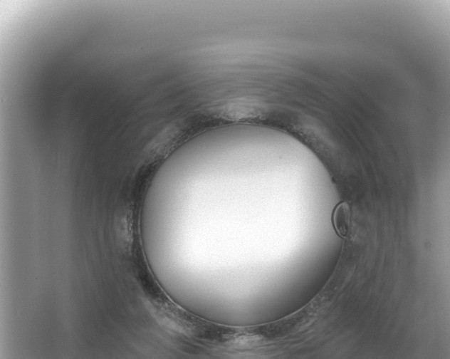 X0000067490210200604101304