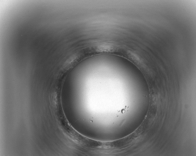 X0000067490211200604101304