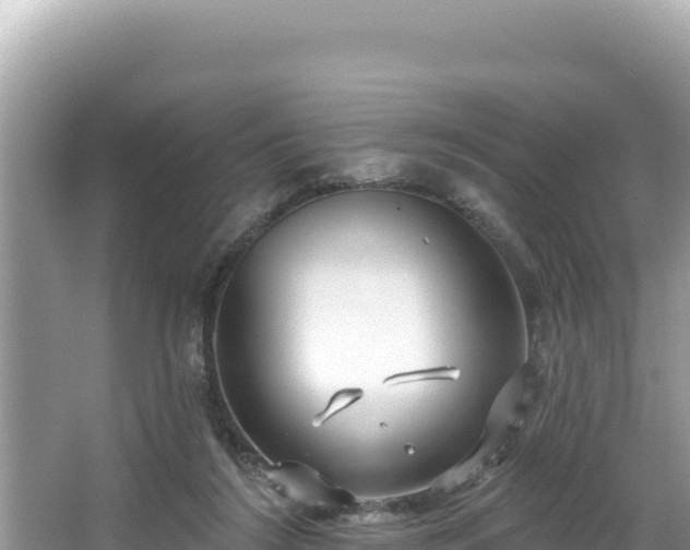 X0000067490212200604101304