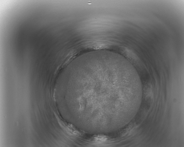 X0000067490214200604101304