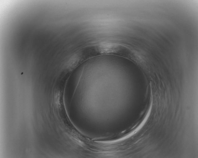 X0000067490219200604101303