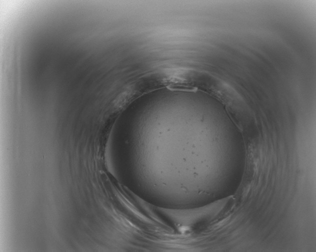 X0000067490223200604101303