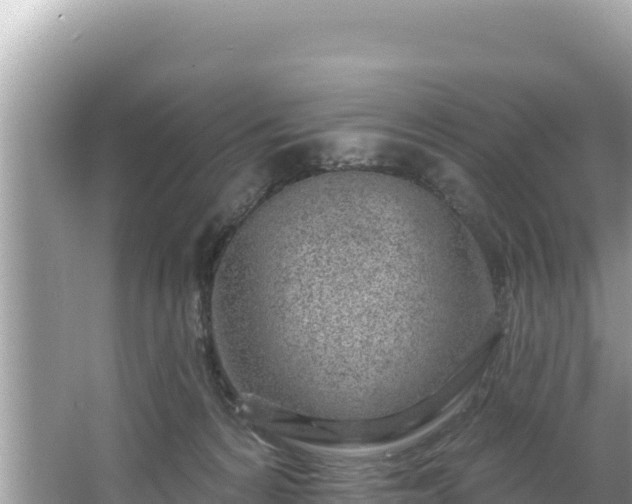 X0000067490224200604101303