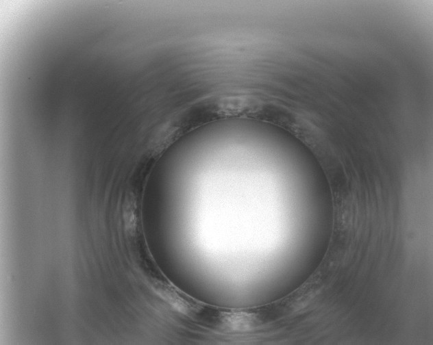 X0000067490226200604101303