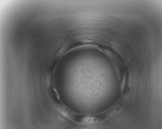 X0000067490227200604101303