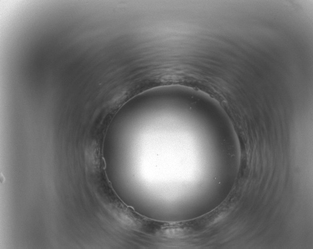 X0000067490228200604101303