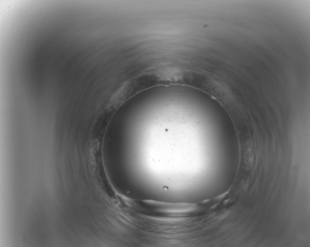 X0000067490229200604101303