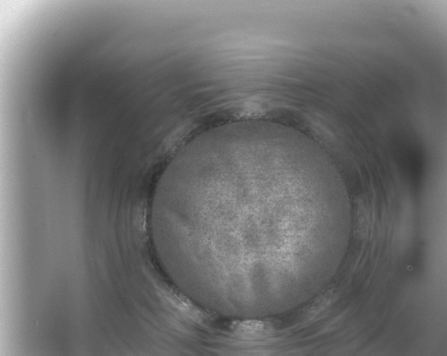 X0000067490230200604101303