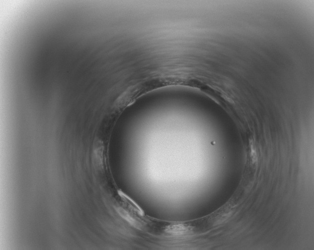 X0000067490231200604101303