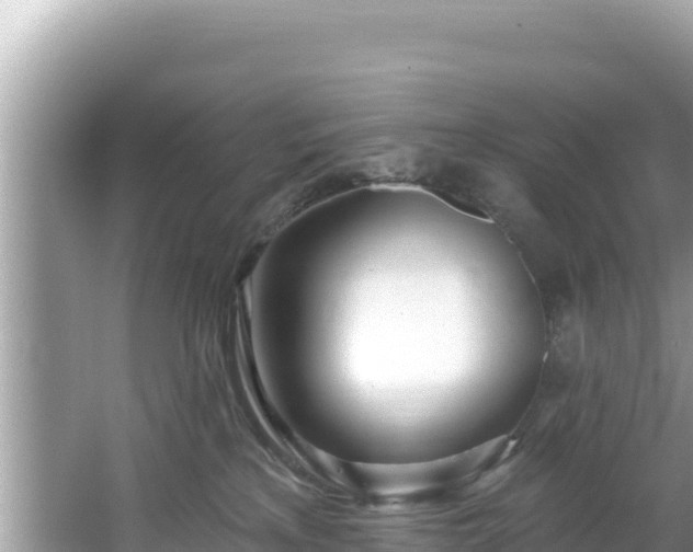 X0000067490233200604101303