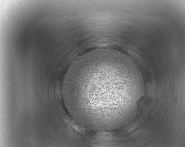 X0000067490234200604101303