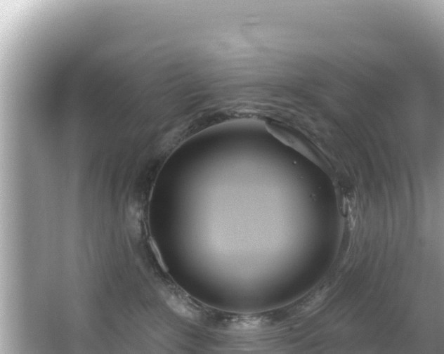 X0000067490235200604101303