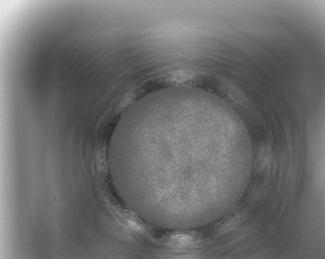 X0000067490236200604101303