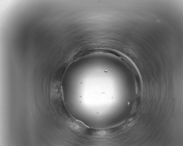 X0000067490237200604101303