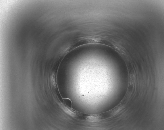 X0000067490238200604101303