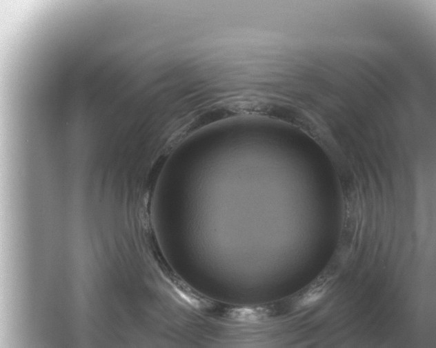 X0000067490239200604101303