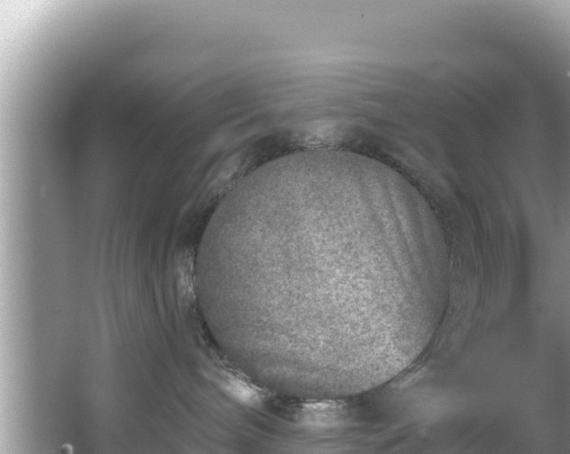 X0000067490240200604101303