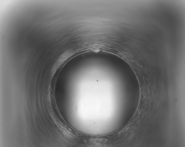 X0000067490242200604101302