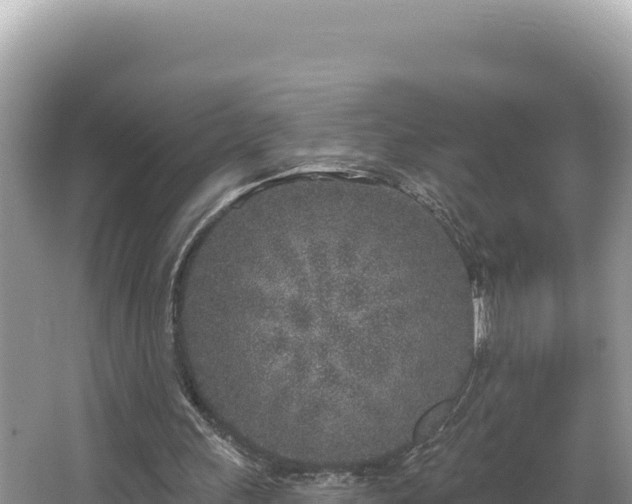 X0000067490243200604101302