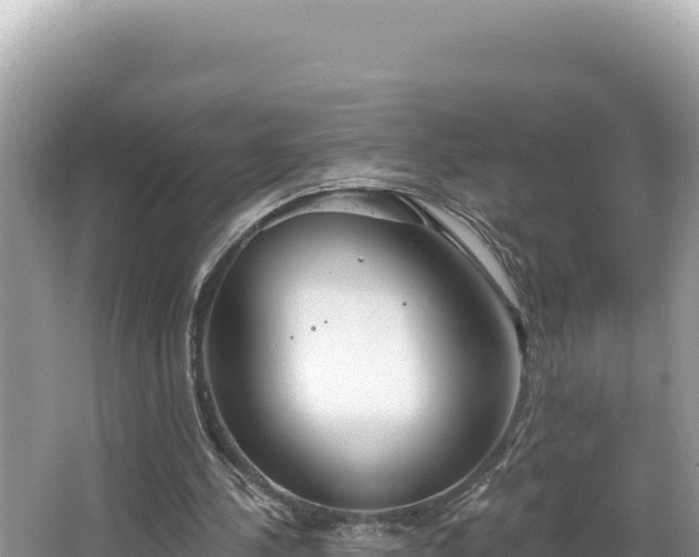 X0000067490244200604101302