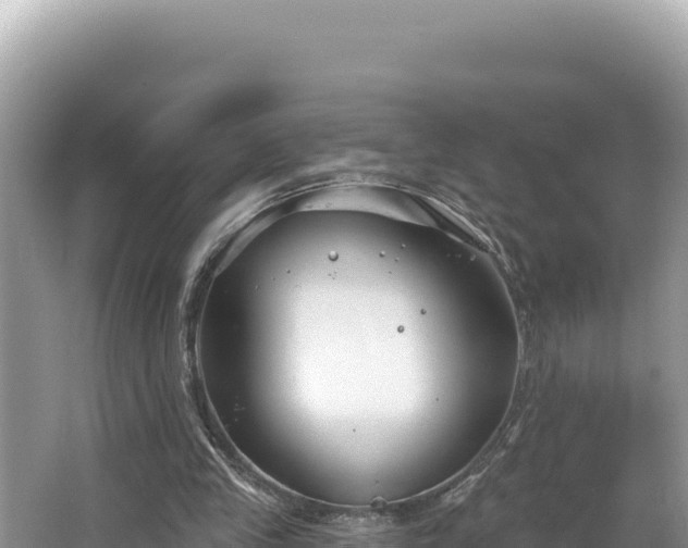 X0000067490245200604101302