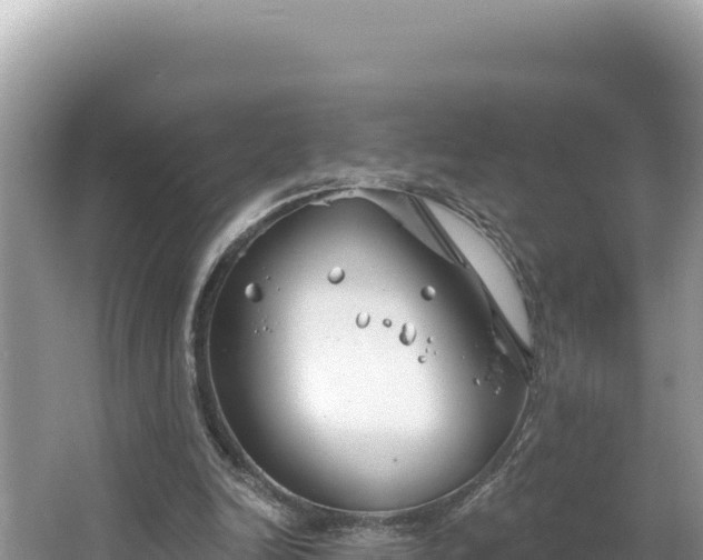 X0000067490246200604101302