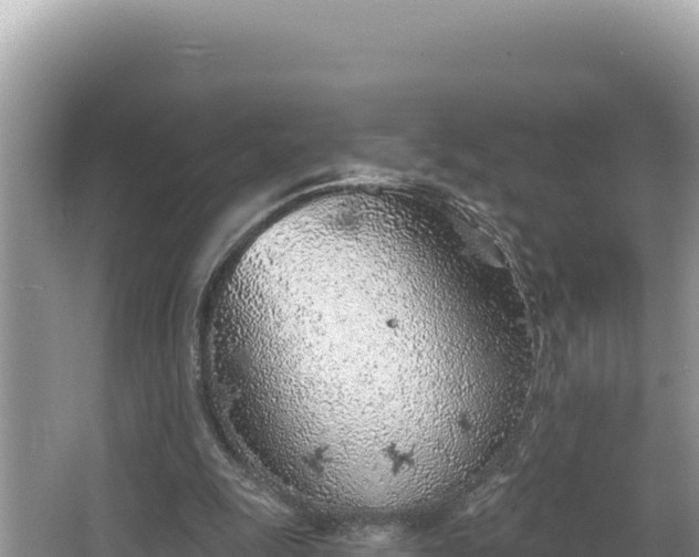 X0000067490247200604101302