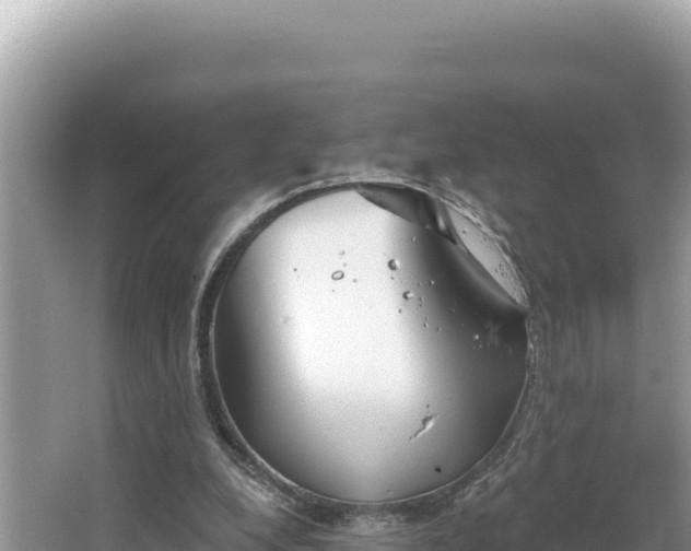 X0000067490248200604101302