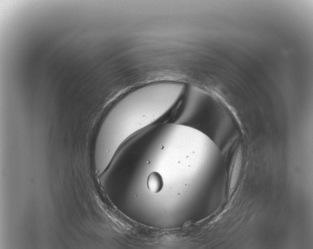 X0000067490249200604101302