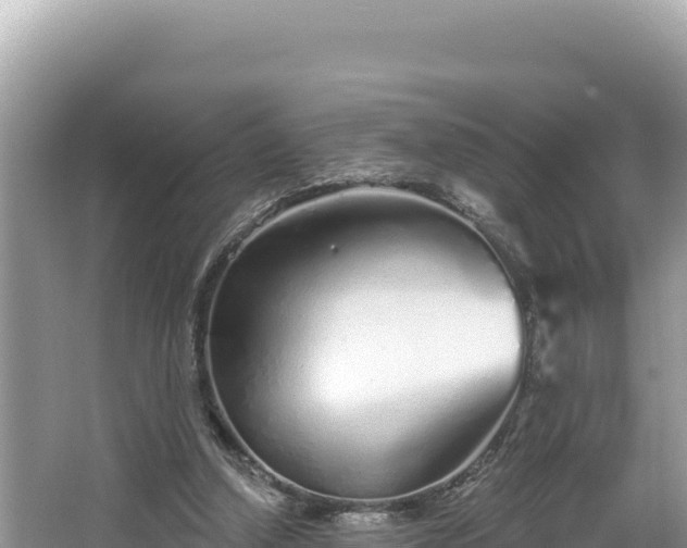 X0000067490250200604101302