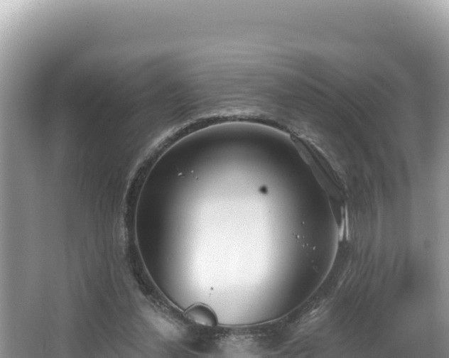 X0000067490252200604101302