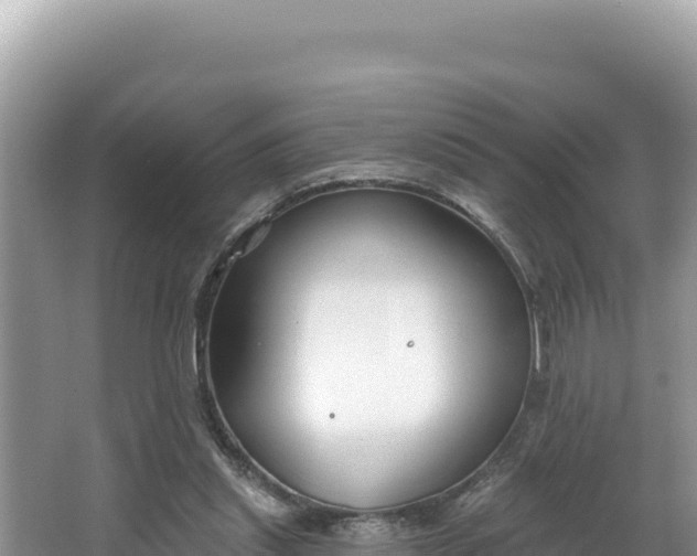 X0000067490253200604101302