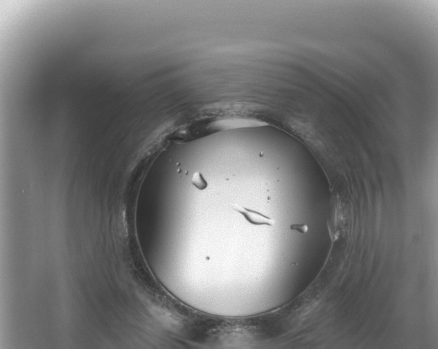 X0000067490254200604101302