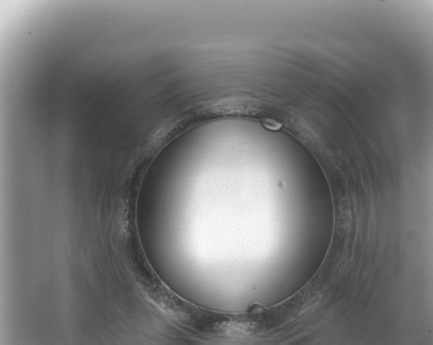 X0000067490255200604101302