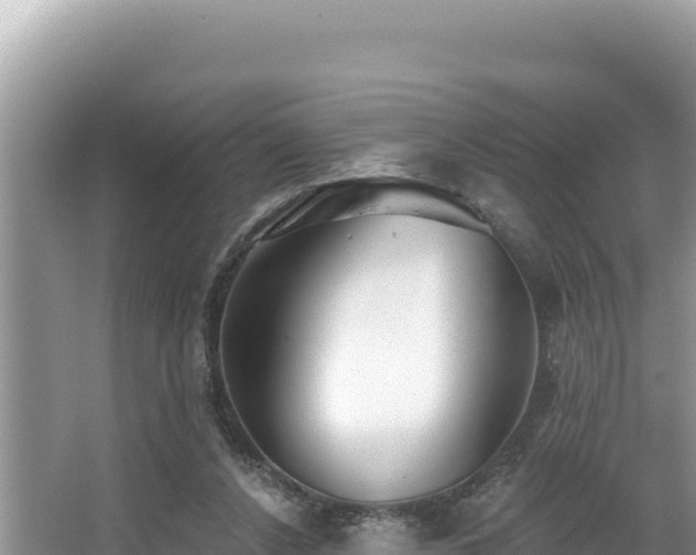 X0000067490256200604101303