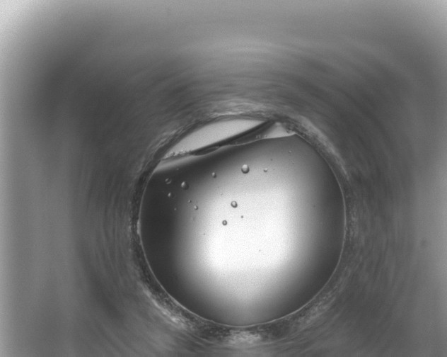 X0000067490257200604101303